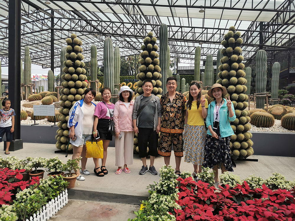 出發(fā)在鴻成，暢爽泰國游(圖3)